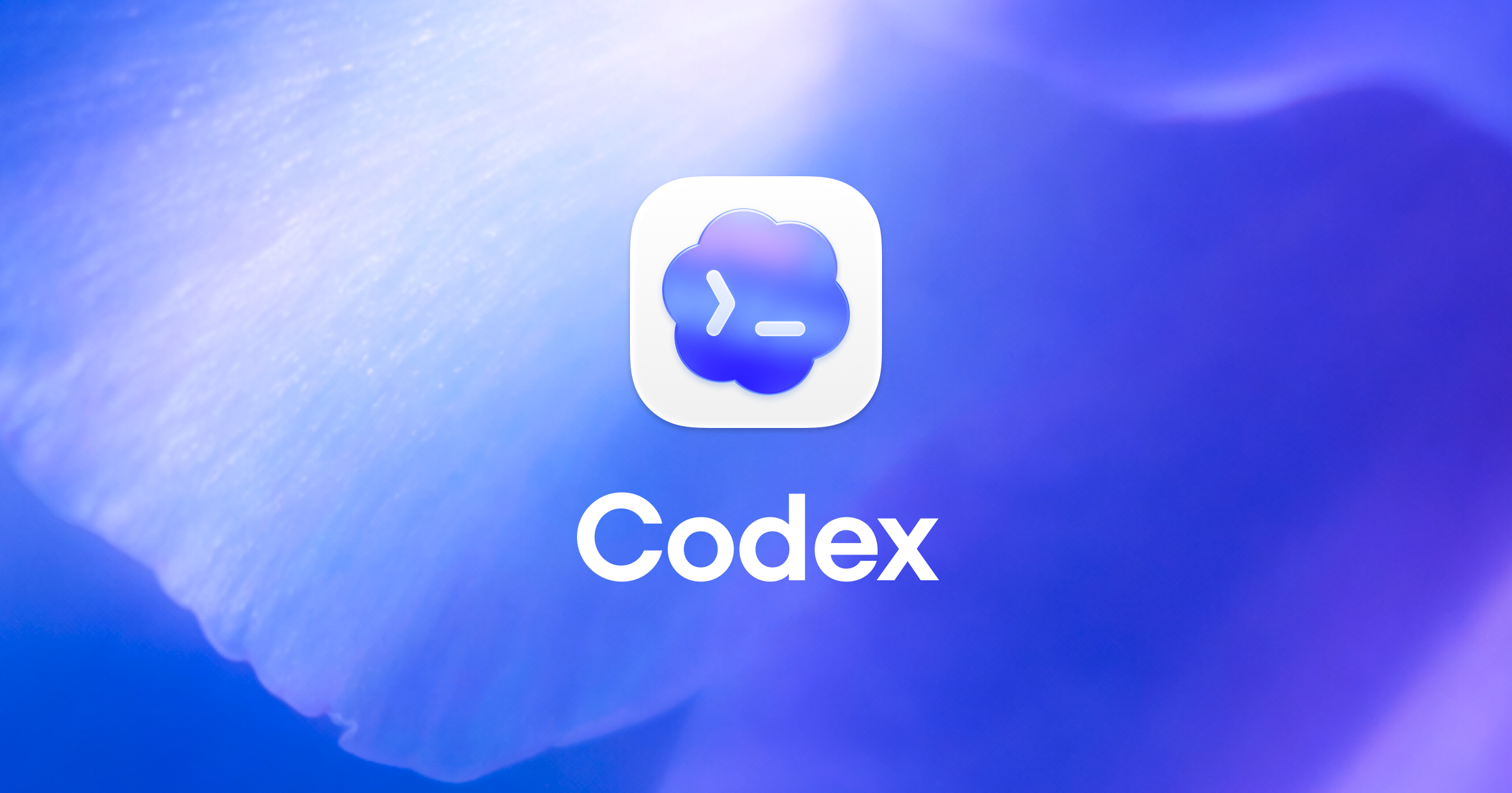 Scaling Codex to enterprises worldwide